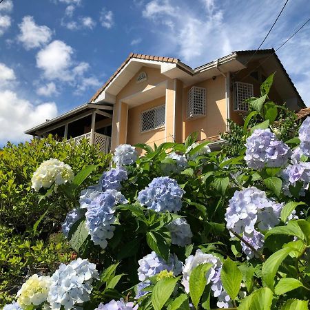 Villa Relax Fujikawaguchiko Exterior photo